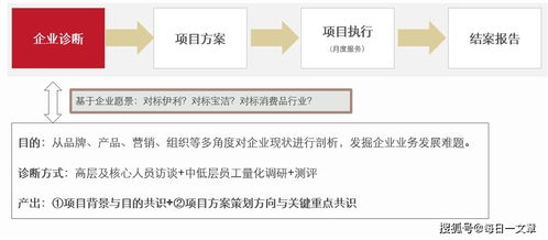 品牌管理部年终述职报告 在企业管理中，抓住每一次“被看见”的瞬间