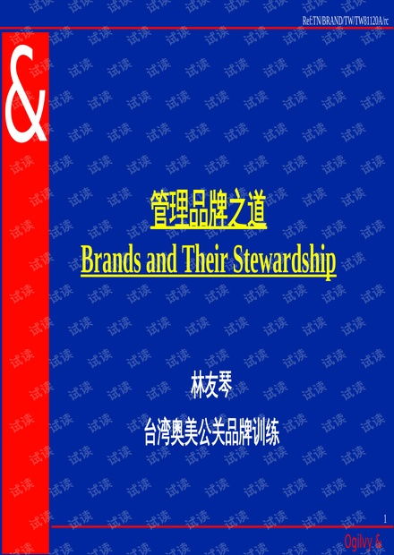 品牌管理之道 构建持久竞争优势的核心理念与实践