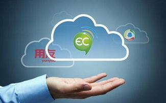 大品牌的管理软件真的就好吗？